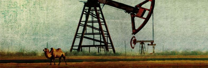 i sogni del lago salato