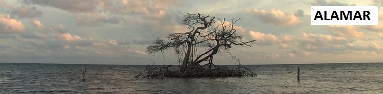 Alamar_general